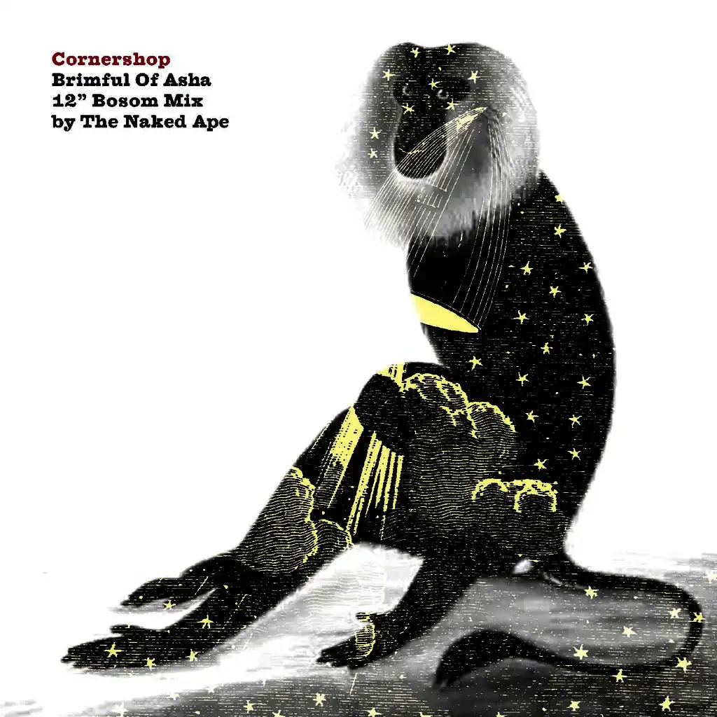 Brimful Of Asha  (12” Bosom Mix - The Naked Ape)