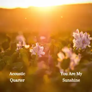 You Are My Sunshine (Radio Edit)