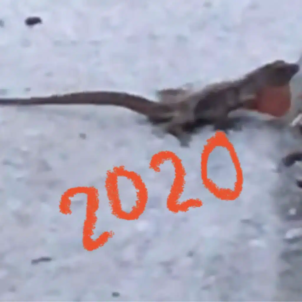 2020