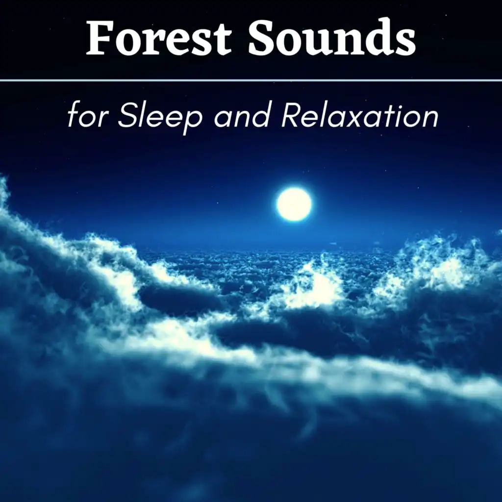 Forest Sounds for Sleep and Relaxation