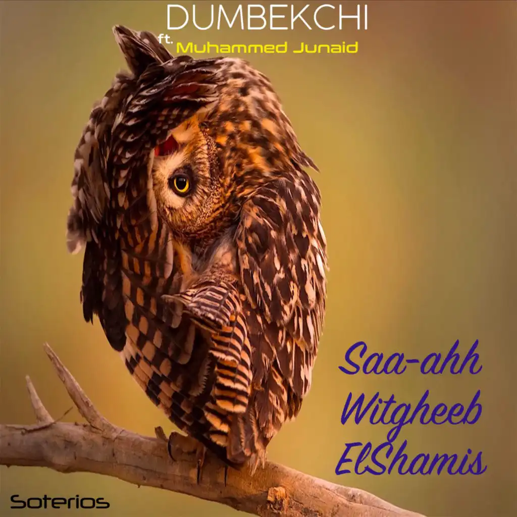 Saa-ahh Witgheeb ElShamis (12" Mix) [feat. Muhammed Junaid]