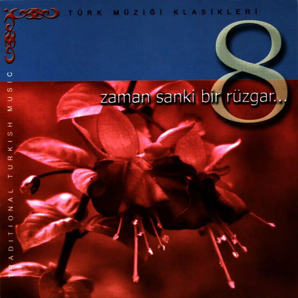 Bir Sevda Geldi Başıma