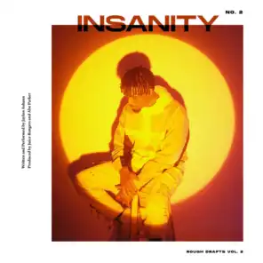 Insanity (Rough Draft)