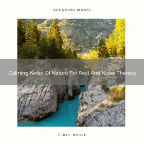 2020 Best: Calming Noise Of Nature For Rest And Noise Therapy