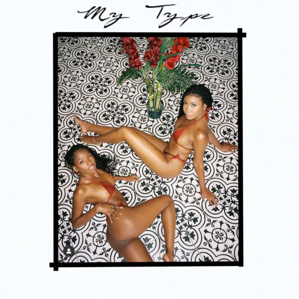 My Type (feat. Charger)