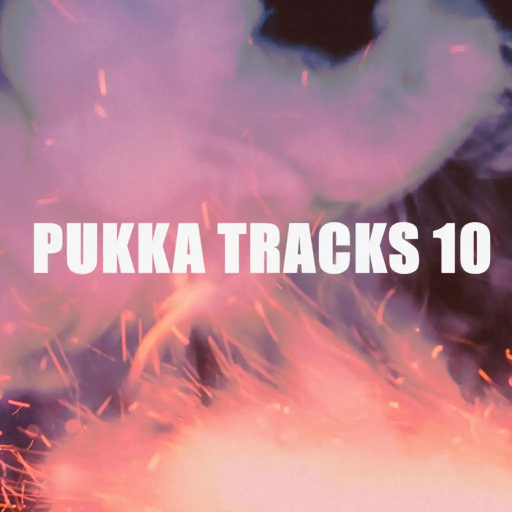 PUKKA TRACKS 10