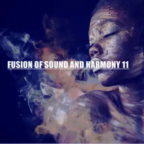 FUSION OF SOUND AND HARMONY 11