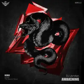 Awakening (Misinki Remix)