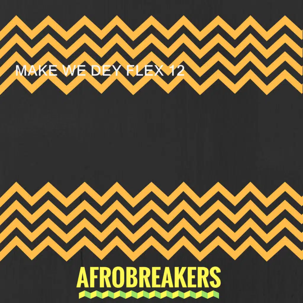 MAKE WE DEY FLEX 12