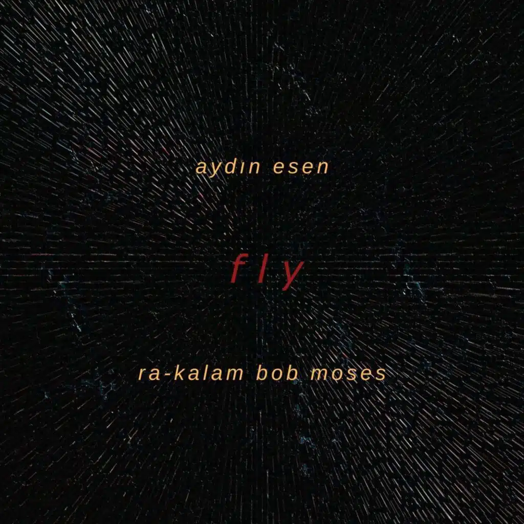 Fly