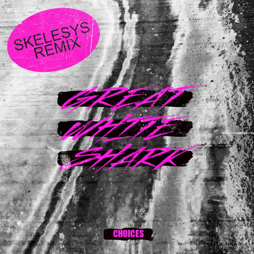 Choices (Skelesys Remix)