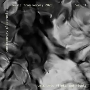 Contemporary Electronic Music from Norway 2020 Vol. 1