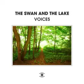 The Swan And The Lake