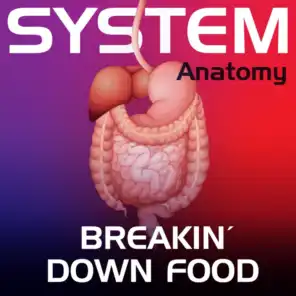 System Anatomy: Breakin' Down Food