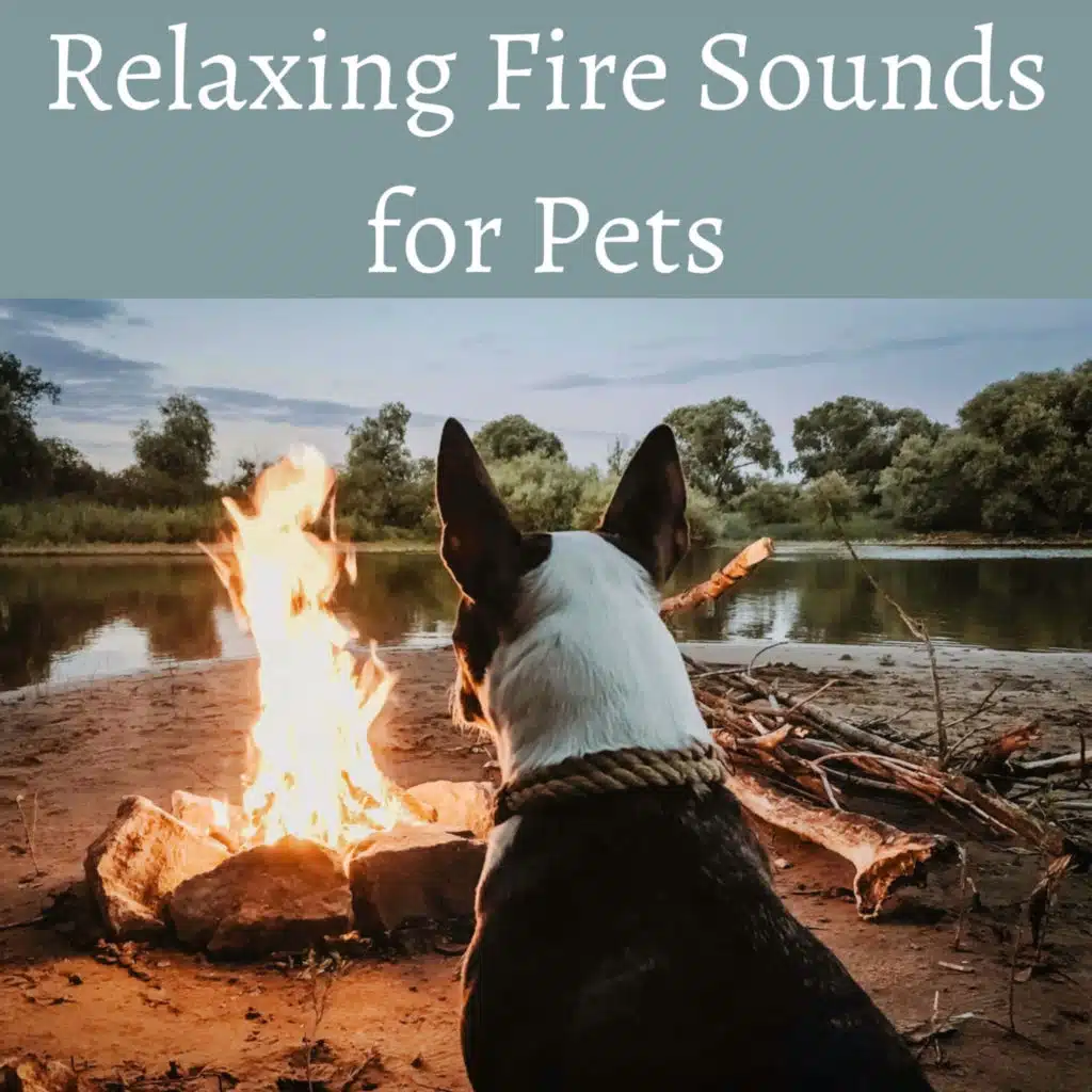 Relaxing By The Fire, Winter Sounds Relaxation for Cats, Logs, Relajacion para Gatos y Perros