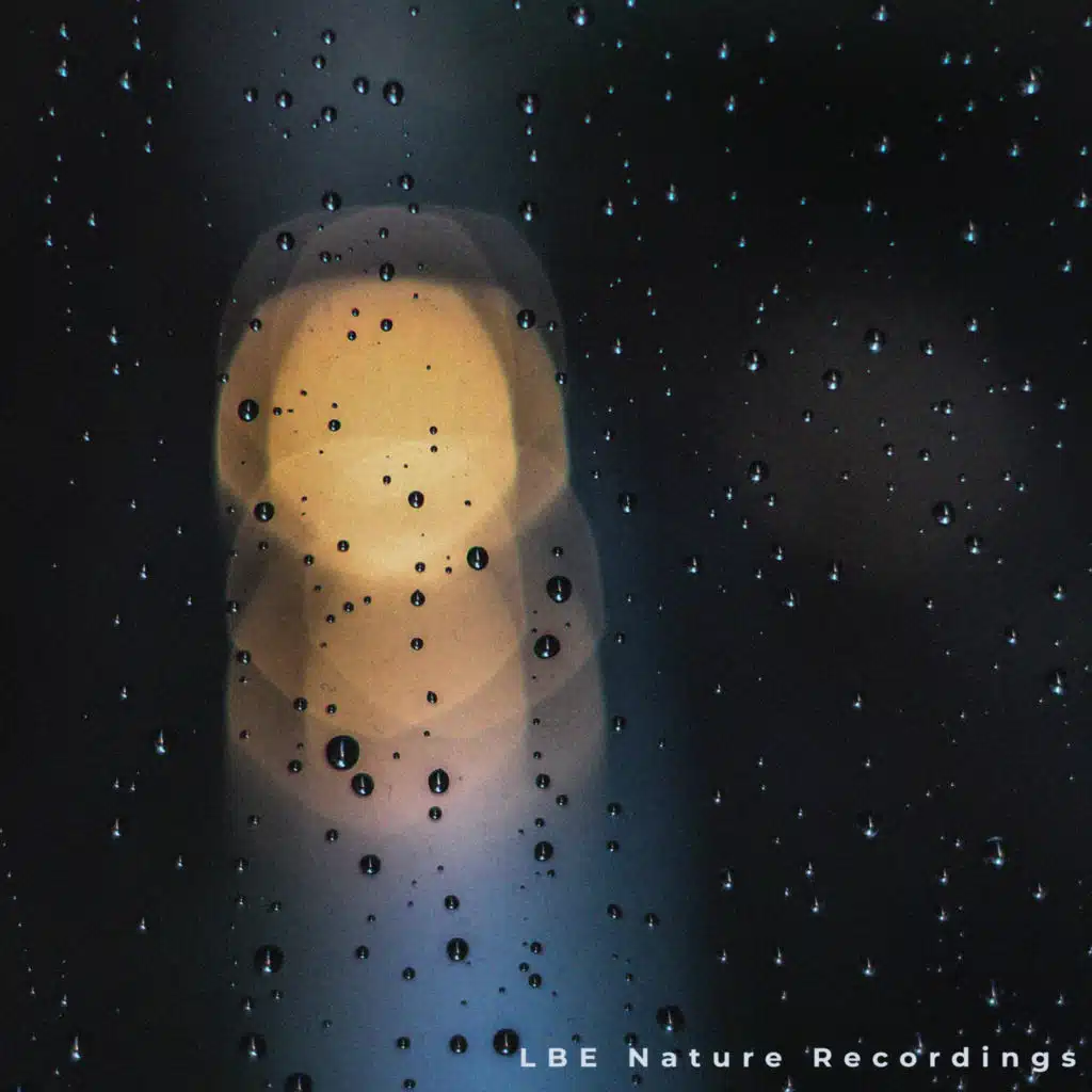 Stop And Listen To The Rain