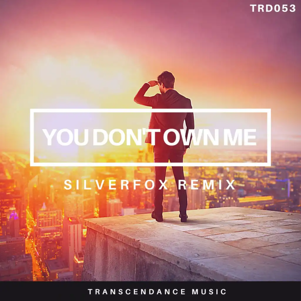 You Don't Own Me (Silverfox Remix) [feat. Laureen (IT)]