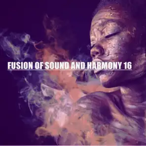 FUSION OF SOUND AND HARMONY 16