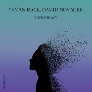 Love The Way (Radio Edit)