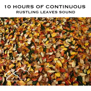 10 Hours of Continuous Rustling Leaves Sound
