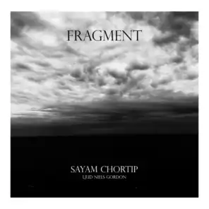 Fragment (feat. Niels Gordon)