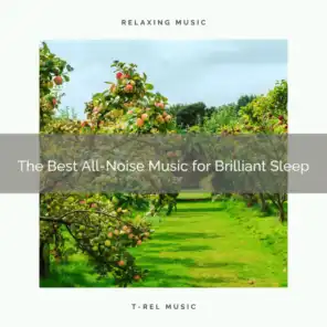 2020 Best: The Best All-Noise Music for Brilliant Sleep