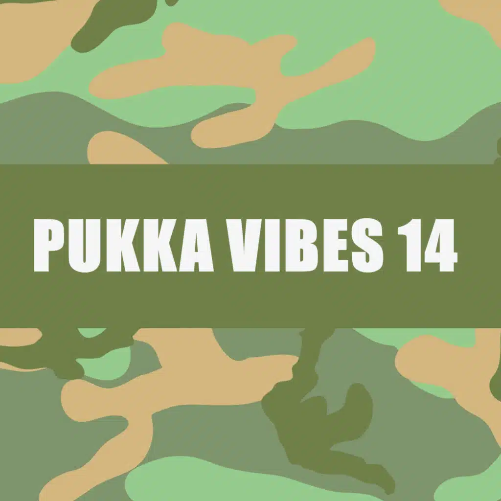 PUKKA VIBES 14