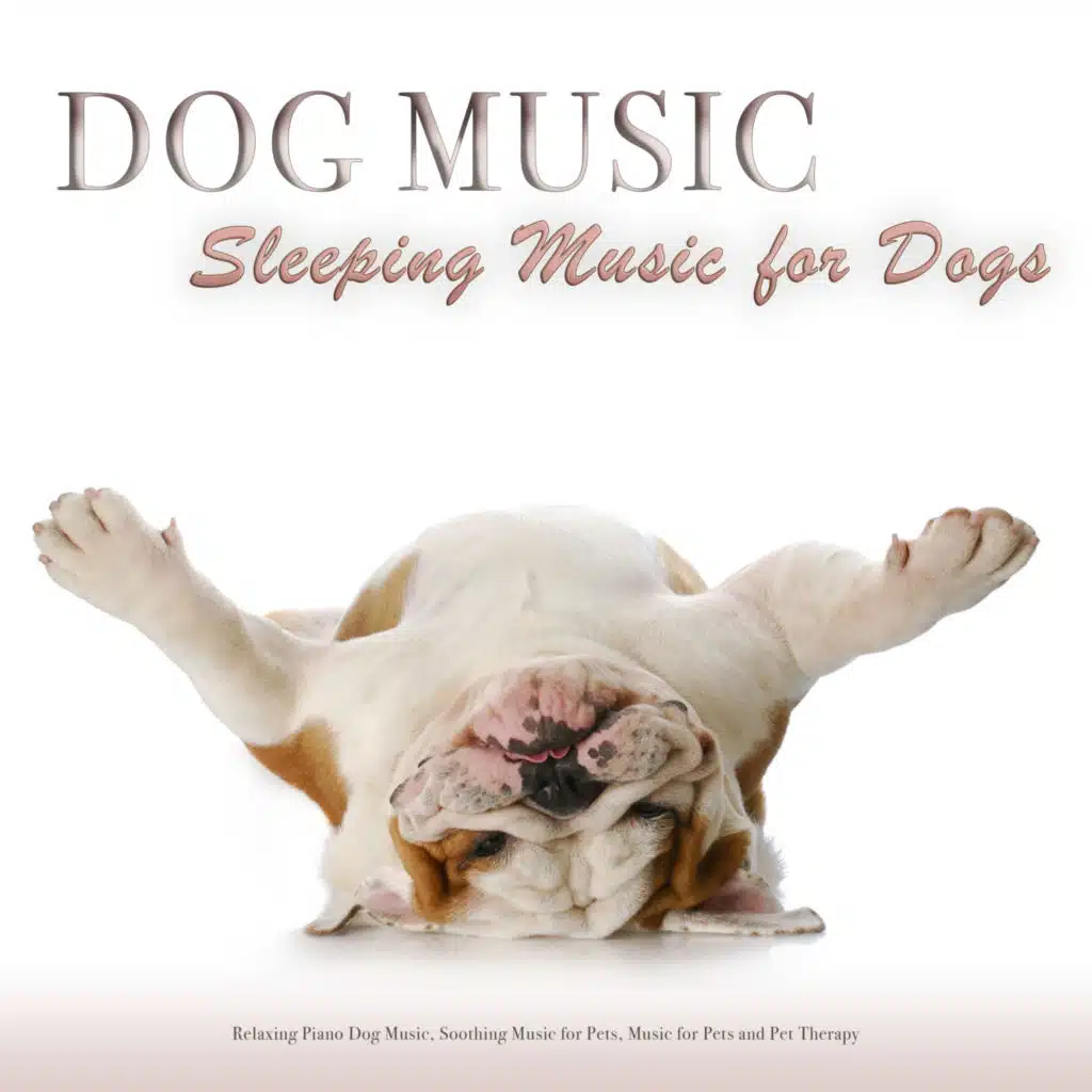 Dog Music: Sleeping Music for Dogs, Relaxing Piano Dog Music, Soothing Music for Pets, Music for Pets and Pet Therapy