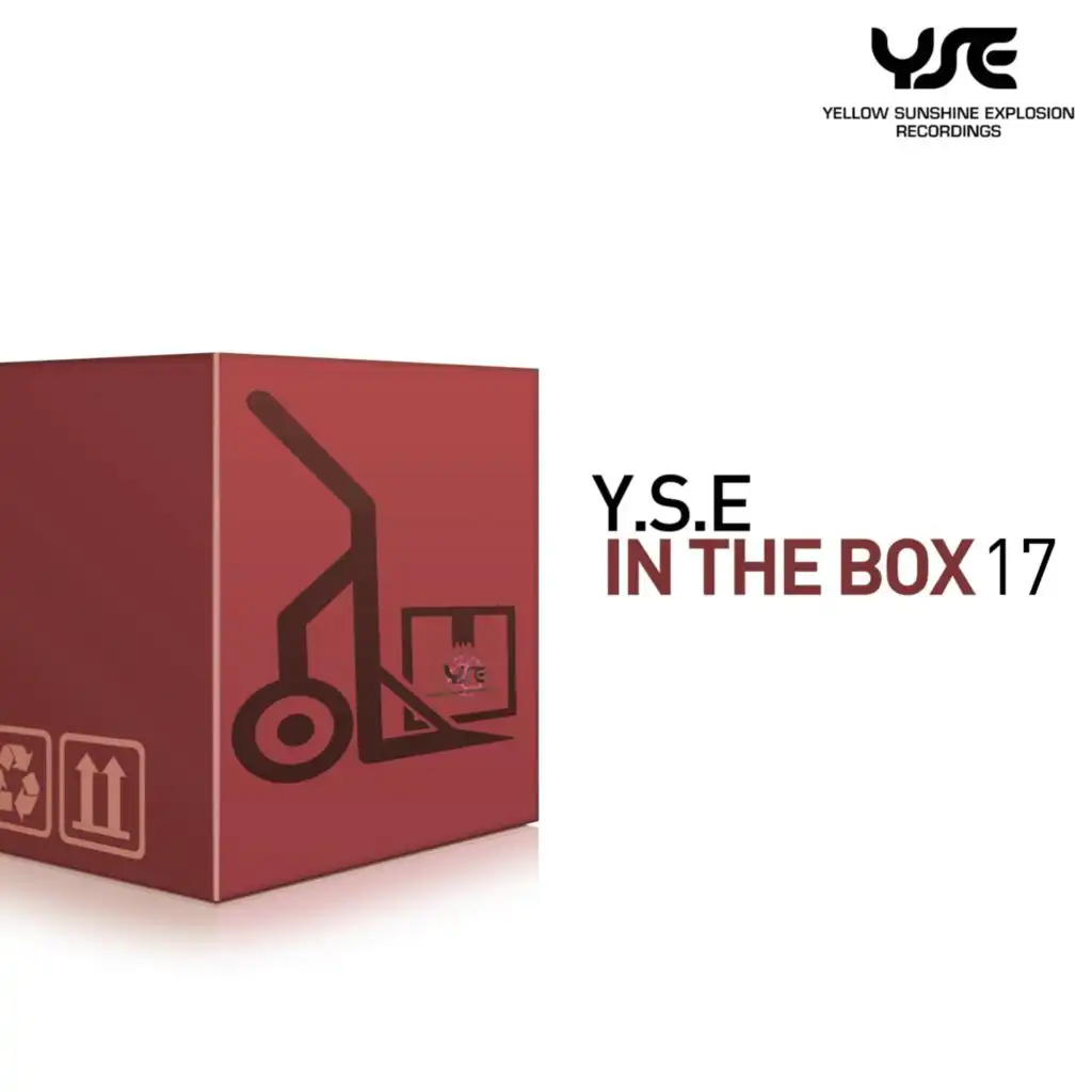 Y.s.e. in the Box, Vol. 17