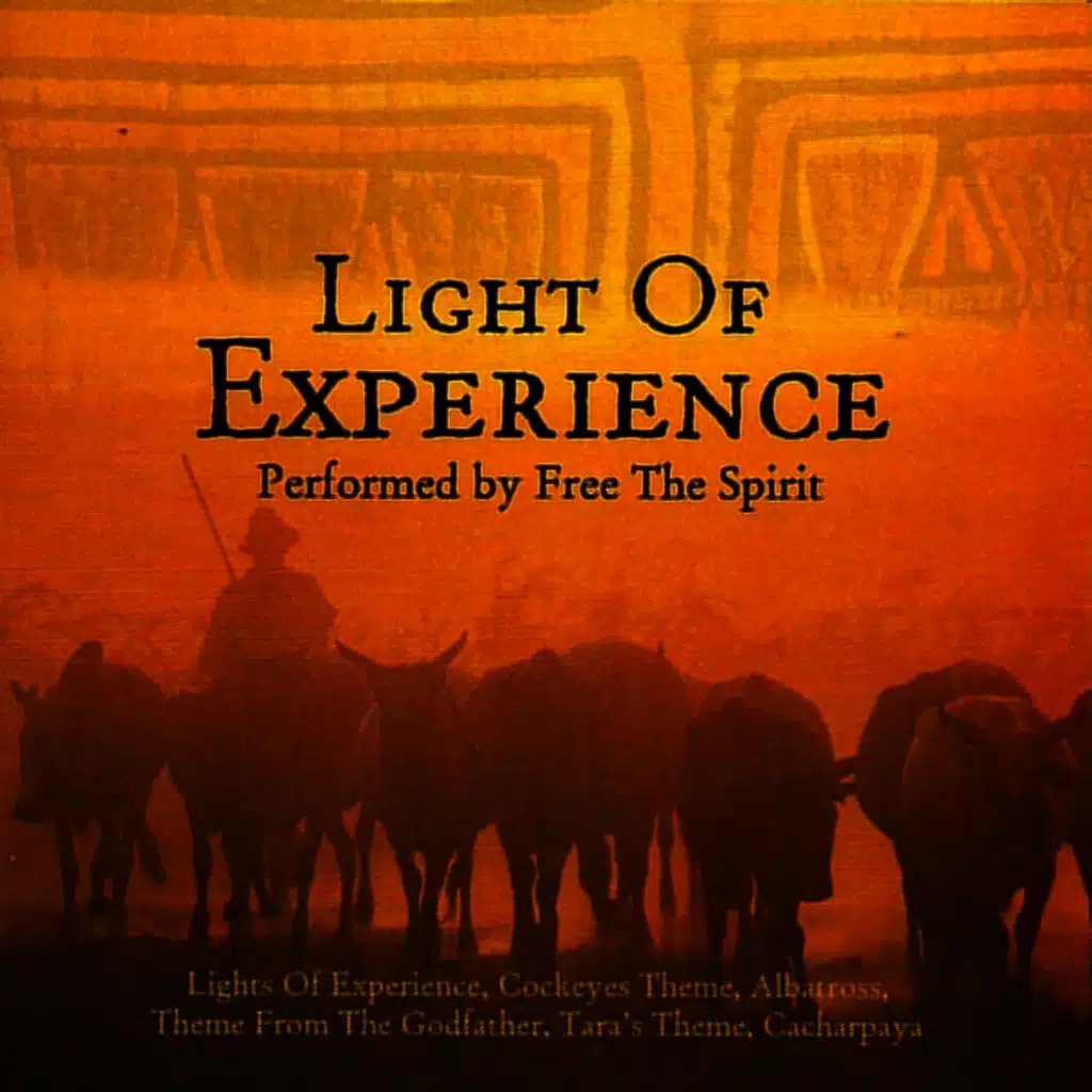 Light of Experience