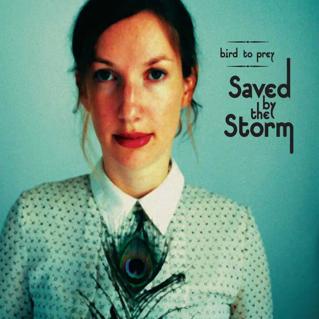 Saved By the Storm