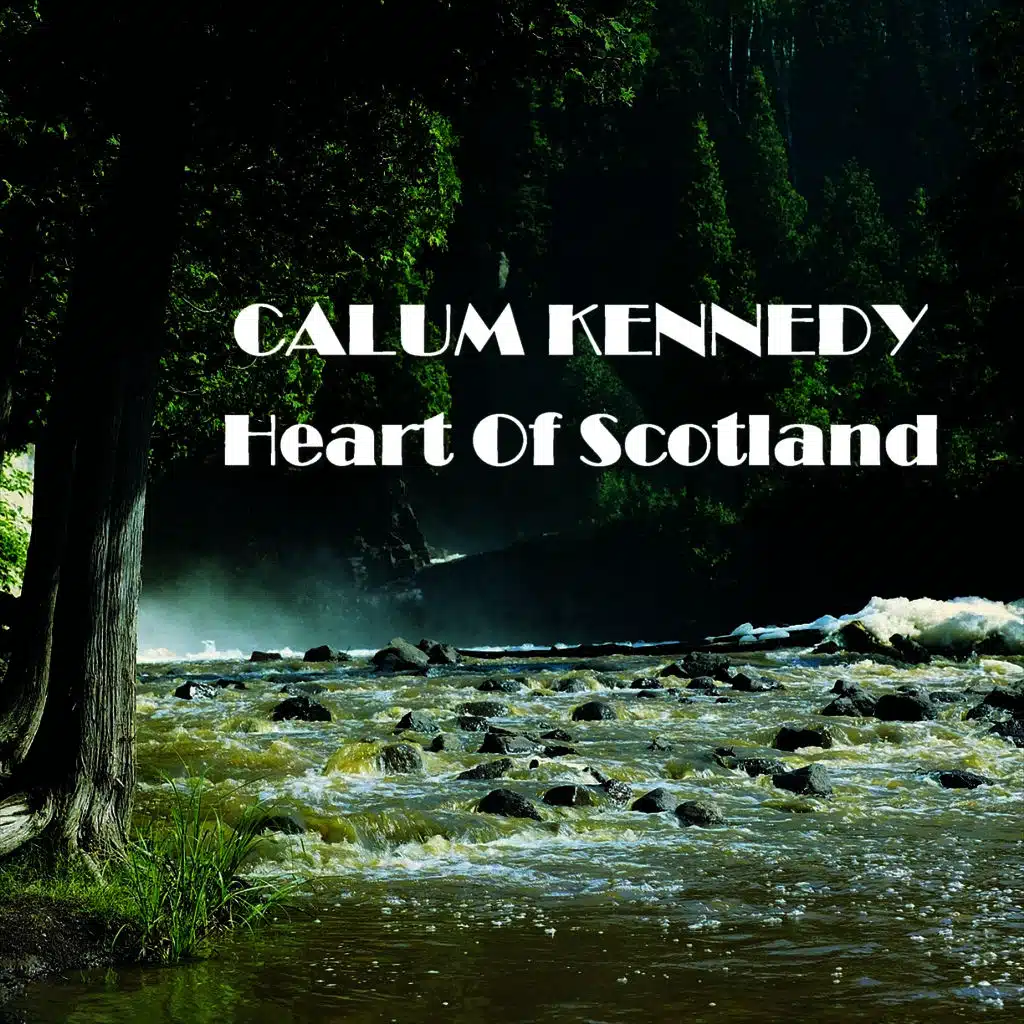 Donald Where's Yer Trousers