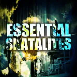Essential Skatalites