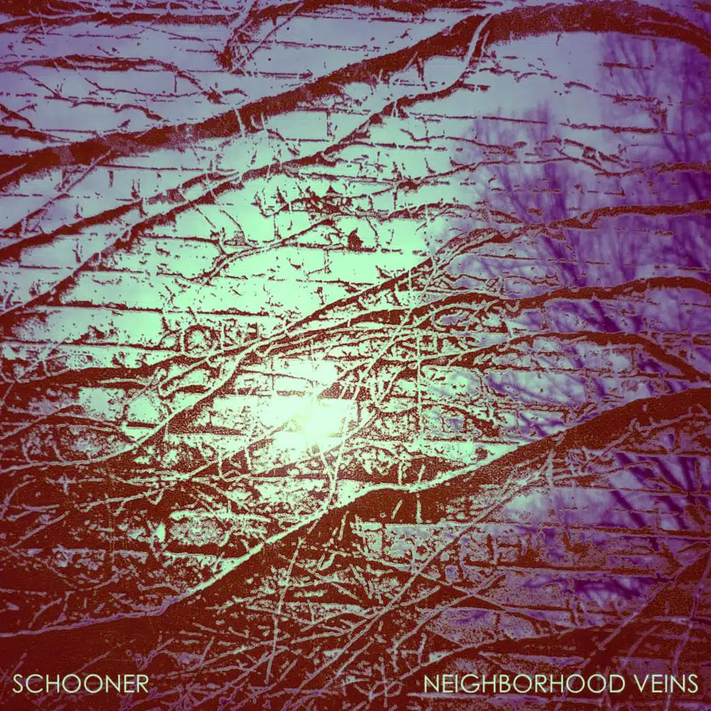 Neighborhood Veins