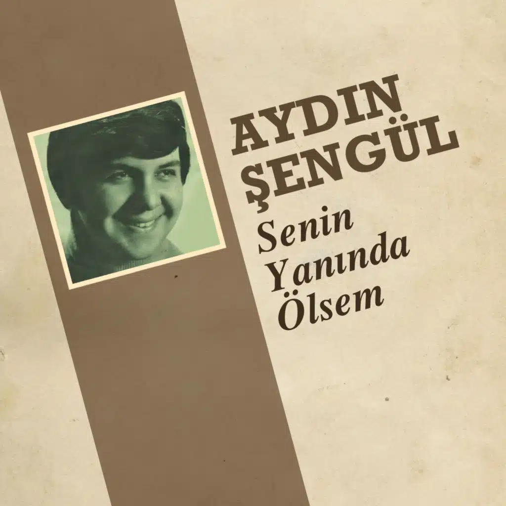 Aydın Şengül