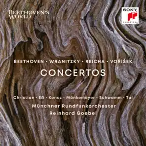 Violin Concerto in C Major, WoO 5: I. Allegro con brio (Fragment finished by Joseph Hellmesberger)