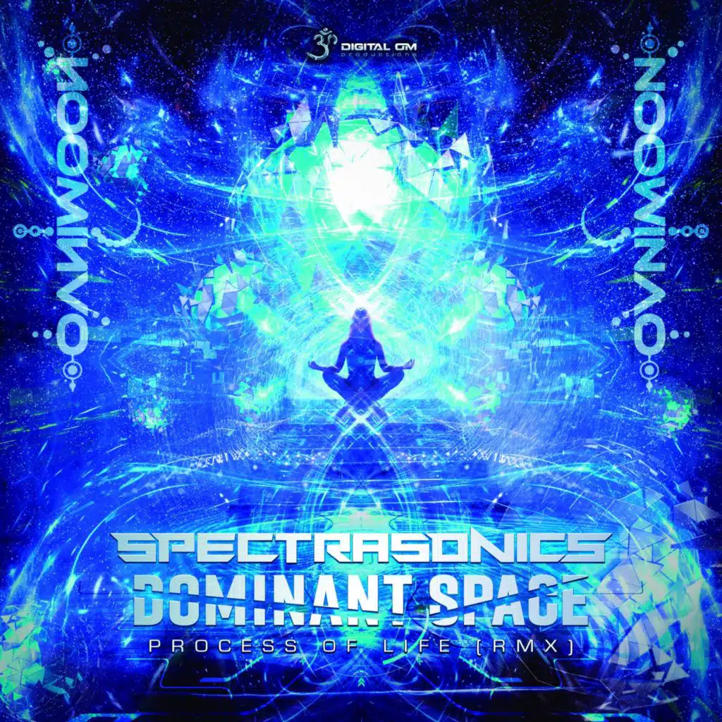 Process of Life (Spectra Sonics & Dominant Space Remix)
