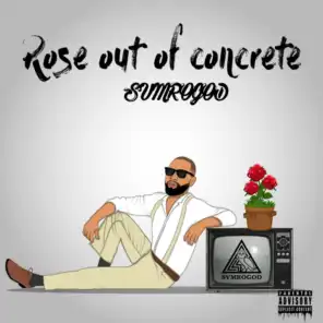 Rose out of Concrete