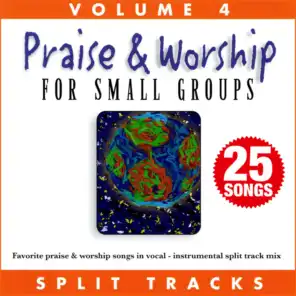 Praise & Worship for Small Groups (Whole Hearted Worship), Vol. 4 (Split Tracks)