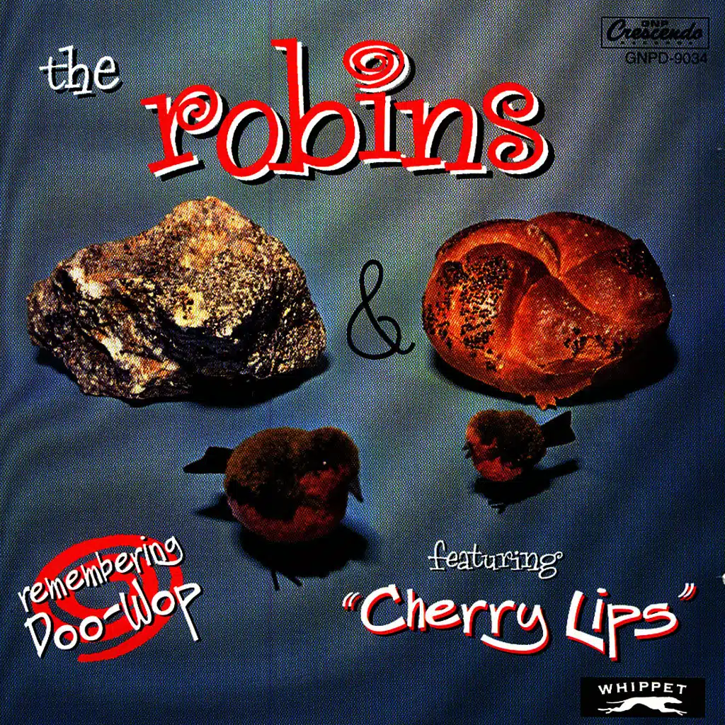 Rock & Roll - The Best of The Robins