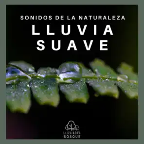 Sonidos de la Naturaleza: Lluvia Suave, Pt. 03