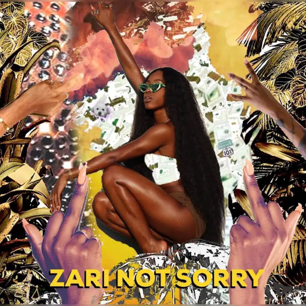 Zari Not Sorry