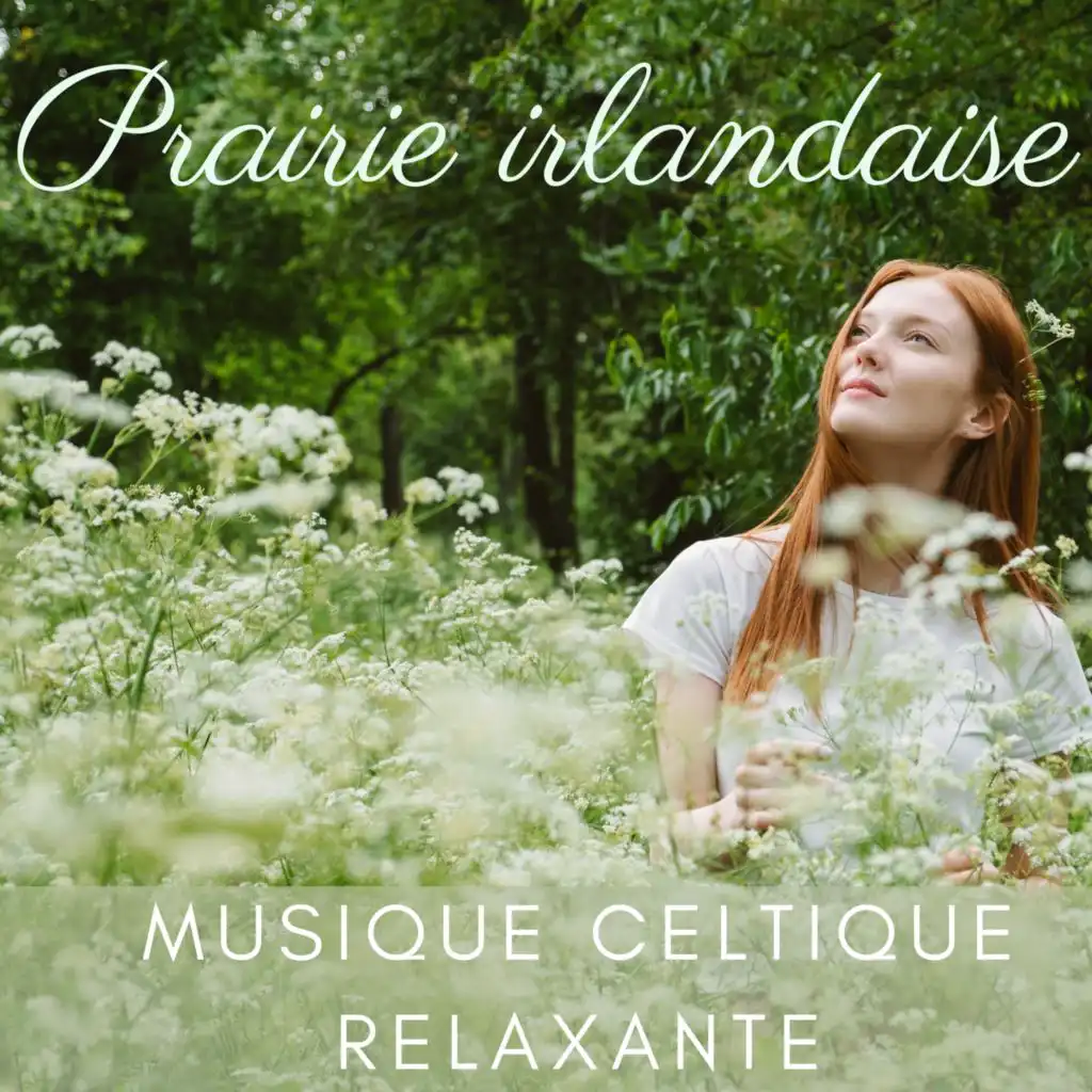 Prairie irlandaise (Musique celtique relaxante, Harpe et flûte, Mix de sons apaisants)