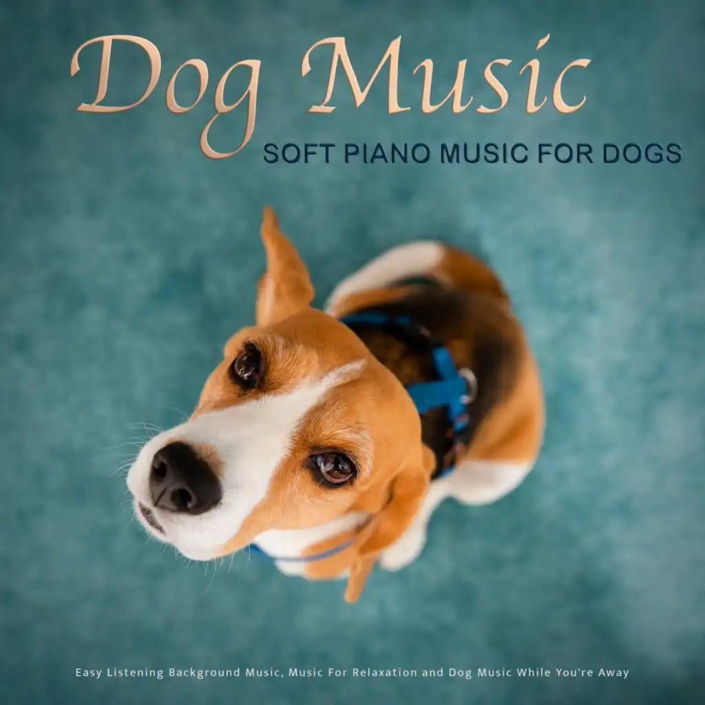 Dog Music: Soft Piano Music For Dogs, Easy Listening Background Music, Music For Relaxation and Dog Music While You're Away