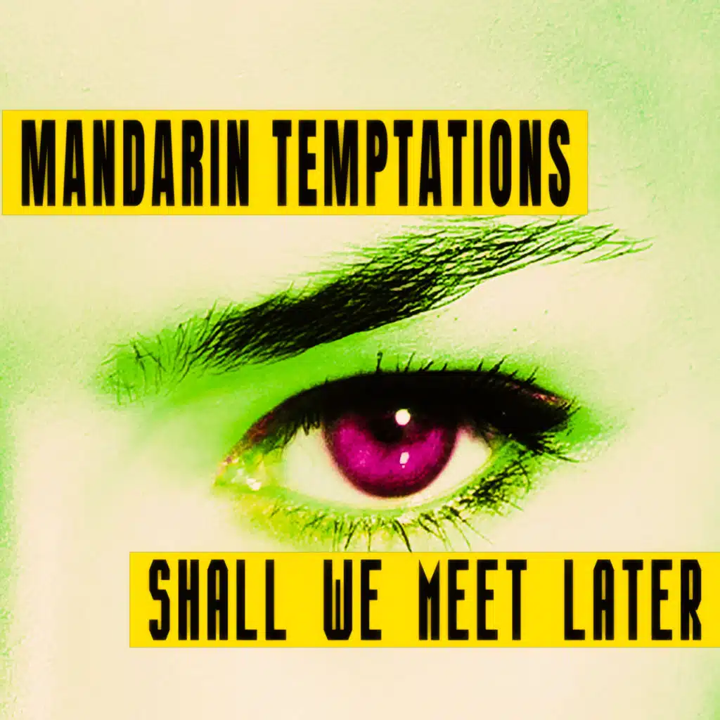 Shall We Meet Later (After Dinner Mix)