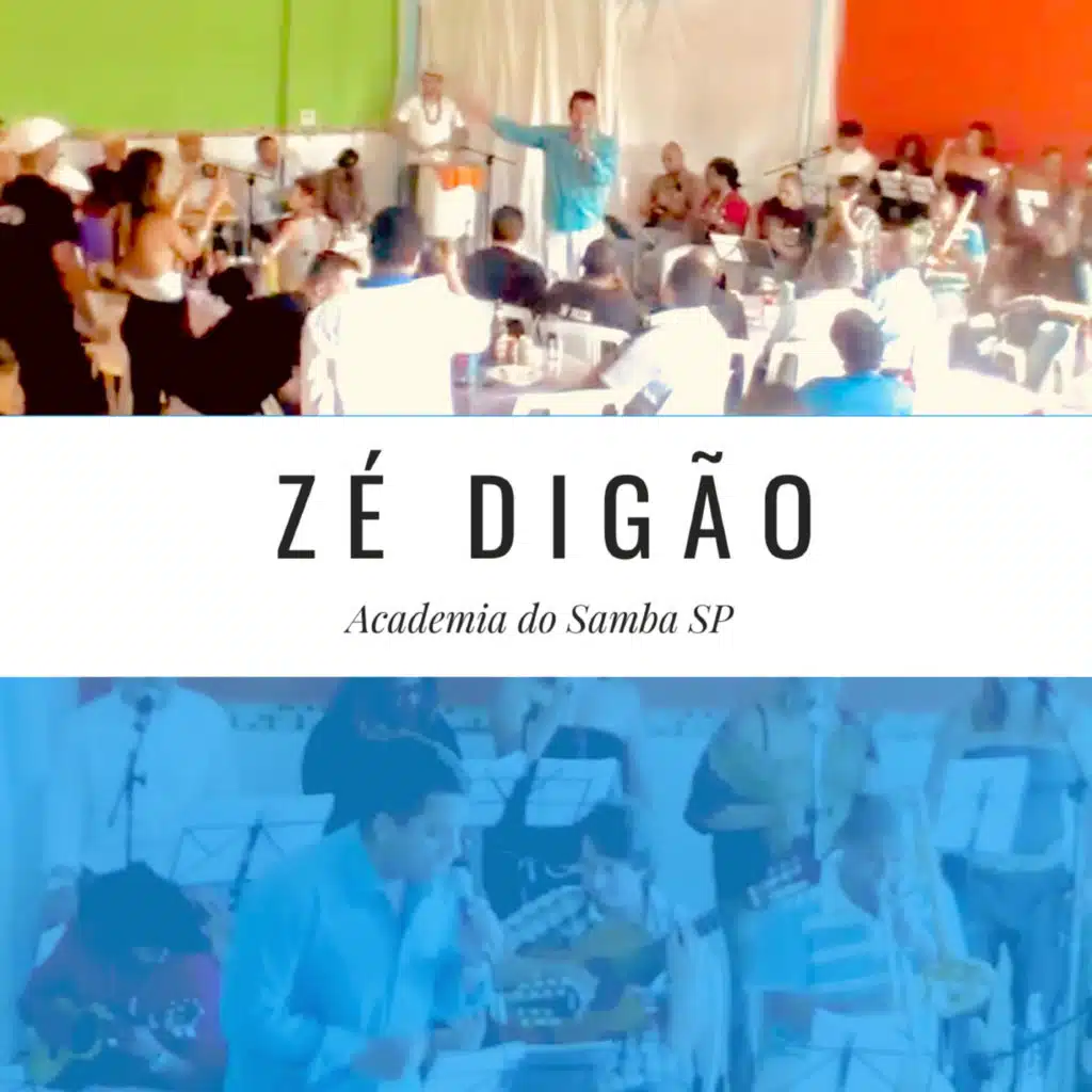 Academia do Samba Sp