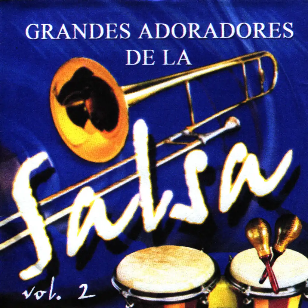 Grandes Adoradores De La Salsa Vol. 2