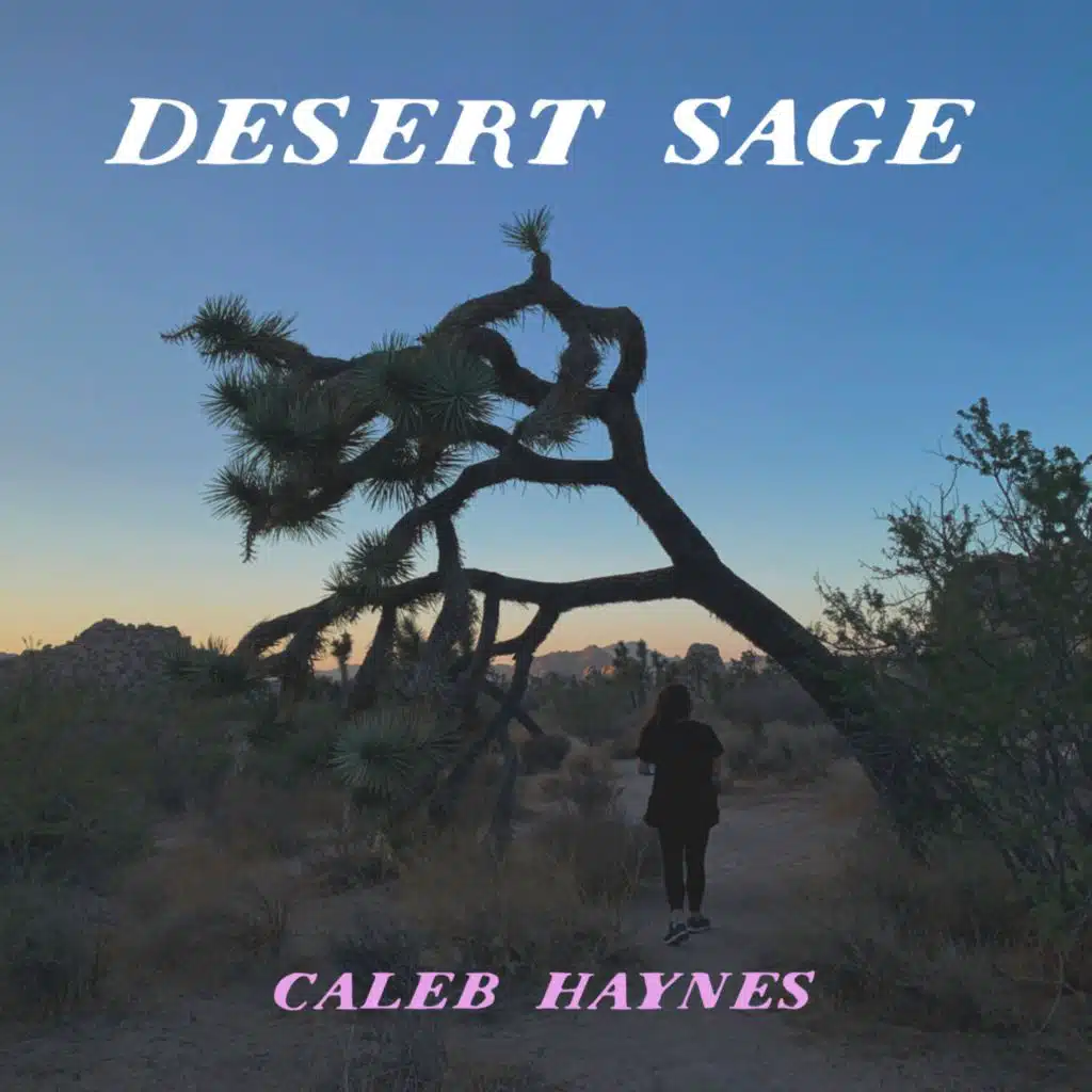 Caleb Haynes