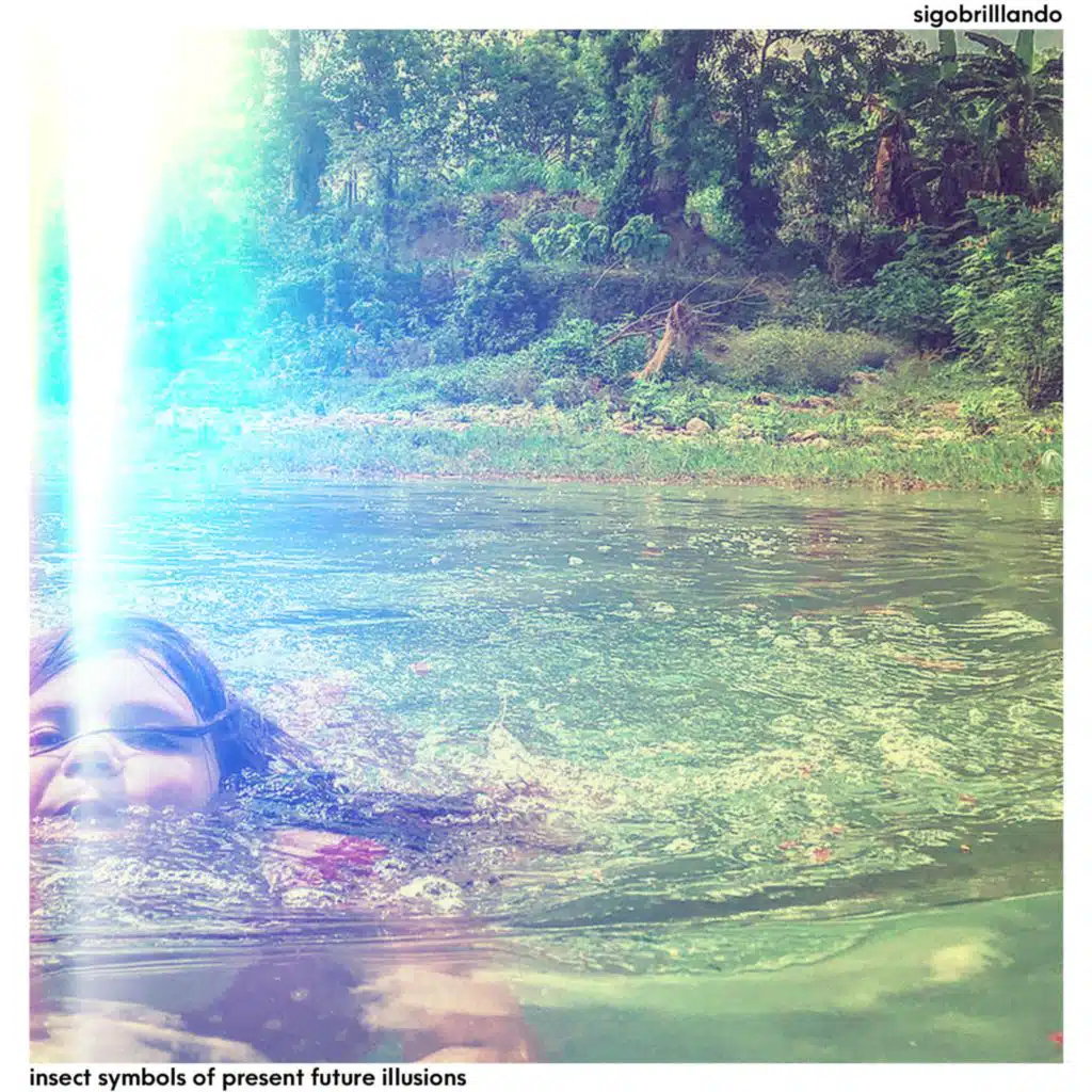 Insect Symbols of Present Future Illusions