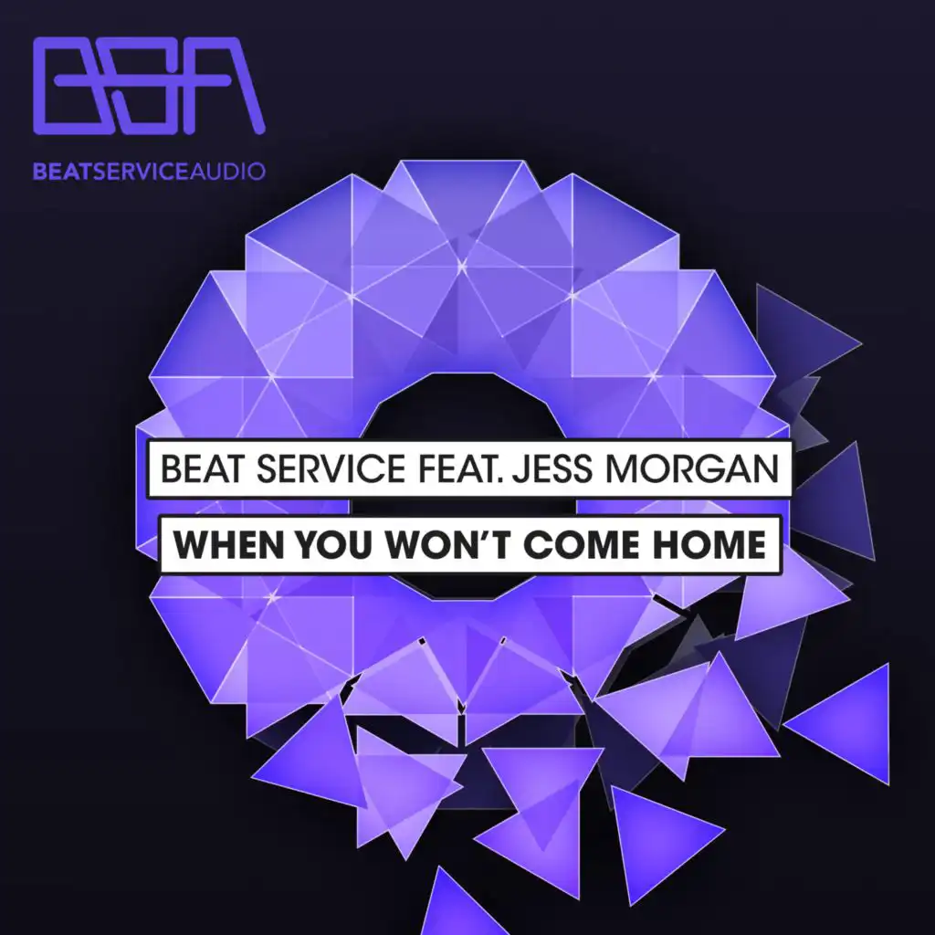 When You Won't Come Home (Radio Edit) [feat. Jess Morgan]